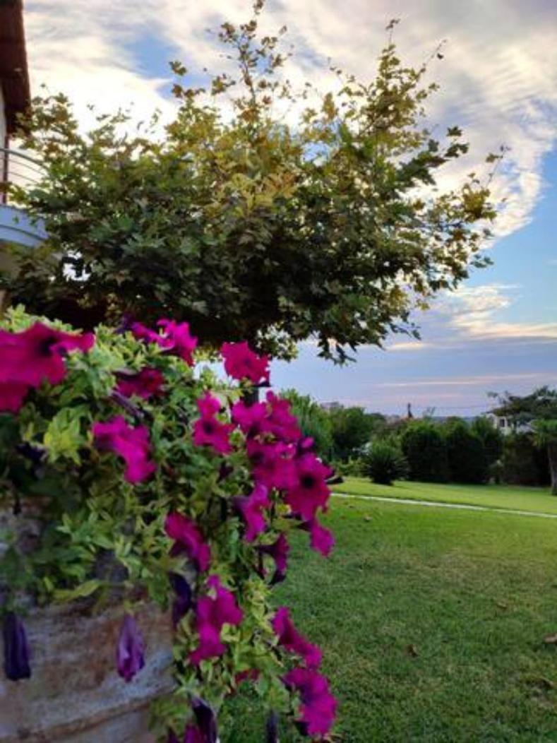 Wonderful Villa With Great View In Posidi-Kalandra Extérieur photo